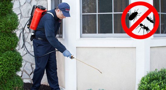 Bahçelerarası Bit İlaçlama böcek ilaçlama ve haşere kontrolü — ilaclama-tr.com